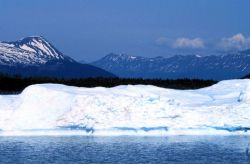 Iceberg in Seward area Image