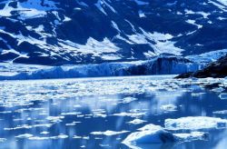 Glacier and small icebergs in Kenai Fjords Image