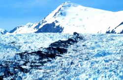 Glacier in Kenai Fjords Image