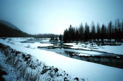 A scene along the Seward Highway Image