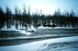 A scene along the Seward Highway Image