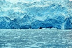 Front of glacier in Kenai Fjords. Image