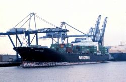 A containership at the Port of Charleston. Image