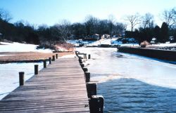 Snow and ice along the Patuxent River. Image