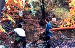 Installing Biologs to abate erosion problems along Spa Creek. Image