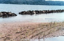 Efforts to preserve shoreline along the Severn River include installation of segmented jetties to diffuse wave energy. Image