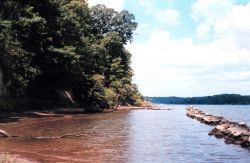 Efforts to preserve shoreline along the Severn River include installation of segmented jetties to diffuse wave energy. Image