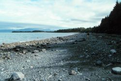 A beach of glacial debris in the Icy Bay area. Image