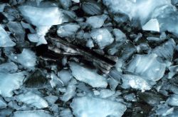 Glacial ice chunks in Icy Bay. Image