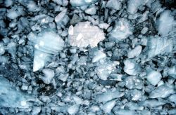 Glacial ice chunks in Icy Bay. Image