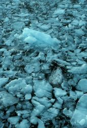 Glacial ice chunks in Icy Bay. Image