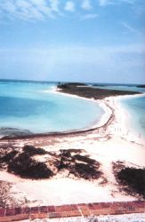 A view of the bird refuge at Dry Tortugas National Park. Image