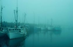 Foggy day in a New Brunswick fishing village. Image
