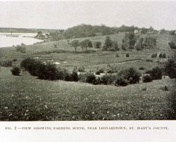 Farm scene near Leonardtown, St Image
