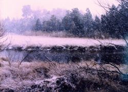 A snowy winter day in the marsh. Image