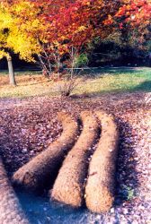 Biologs ready to be installed as an erosion buffer. Image