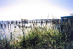 Piers, looking down river from Benedict. Image