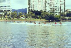 Practicing for outrigger races in the Ali Wai Canal near Waikiki Beach. Image