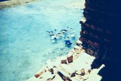 Snorkelers studying marine life in the moat Image