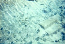 Sun reflections and sea life in the moat at Fort Jefferson Image