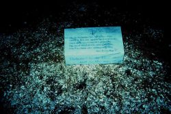 A poignant reminder of the dangers of the sea Image