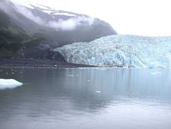 Aialik Glacier in Kenai Fjords. Image