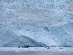 Aialik Glacier in Kenai Fjords. Image