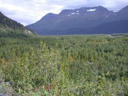 Moose Pass area between Seward and Anchorage. Image