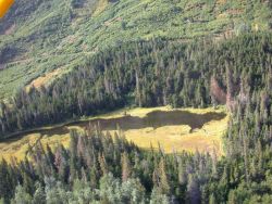 Float plane sightseeing along the Richardson Highway Image