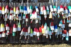 Floats for lobster traps adorning a Maine fence. Image