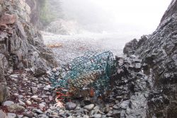 A lobster pot left by the waves at West Quoddy Head. Image