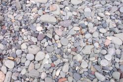 Multi-colored rocks on the cobble beach at West Quoddy Head. Image