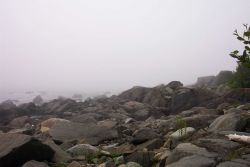 Part of a foggy rocky shoreline at West Quoddy Head. Image