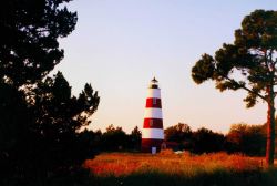 Sapelo Island Lighthouse Image