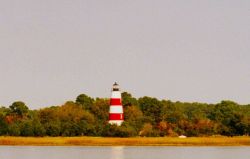 Sapelo Island Lighthouse from Doboy Sound Image