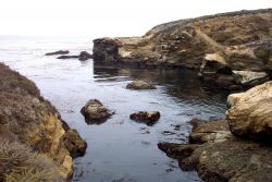 A quiet cove (on this day) at Point Lobos. Image