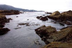 A quiet cove (on this day) at Point Lobos. Image