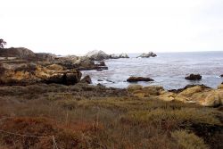 Looking toward Bird Rock at Point Lobos. Image