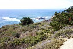 A seaview along the coast near Davenport. Image