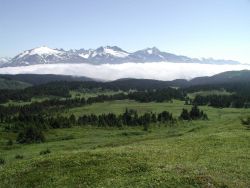 Some of the sights in the vicinity of Seward. Image