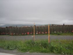 Looks like a good home for lazy eagles picking fish remains off drying nets. Image