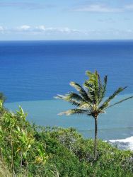 Looking to the north from the Kohala Mountains Image