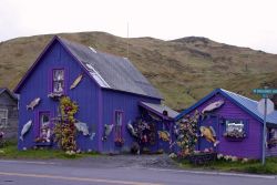A splash of color in Dutch Harbor with fish decorations and dolls to brighten the landscape. Image
