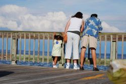 Looking for critters off the North Beach boardwalk. Image