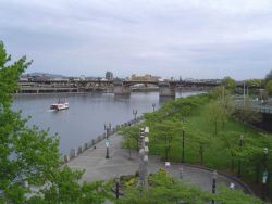 Willamette River stern-wheeler. Image