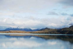 Looking at the eastern shore of Glacier Bay from Blue Mouse Cove Image