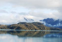 Looking at the eastern shore of Glacier Bay from Blue Mouse Cove Image