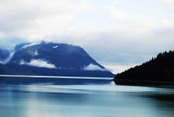 Looking at the eastern shore of Glacier Bay from Blue Mouse Cove Image