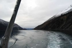 Looking toward west end of Tidal Inlet after first dusting of snow Image