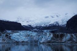 Johns Hopkins Glacier Image